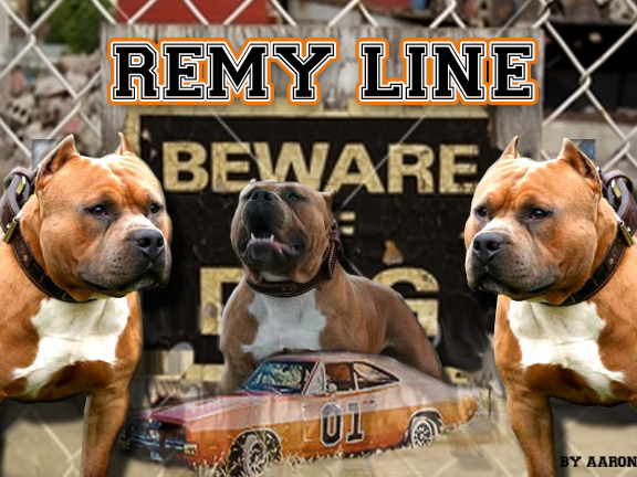 remylee.jpg